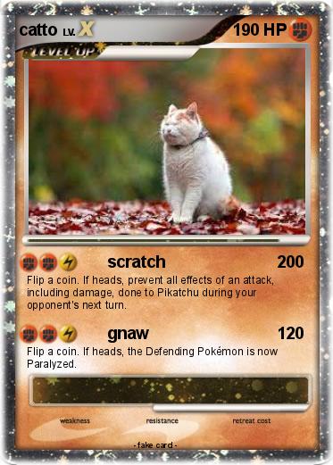 Pokemon catto