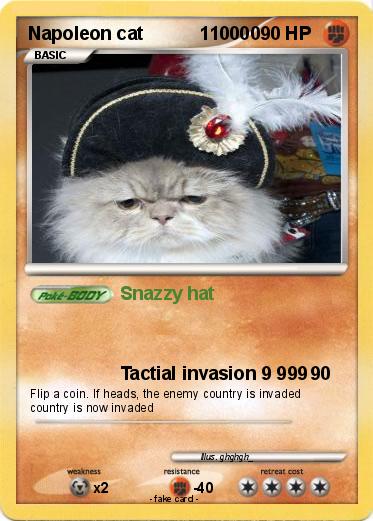 Pokemon Napoleon cat           110000