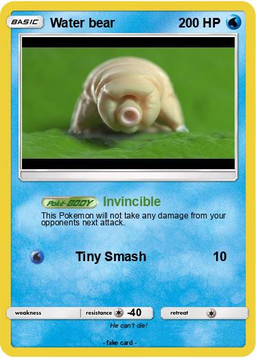 Pokemon Water bear