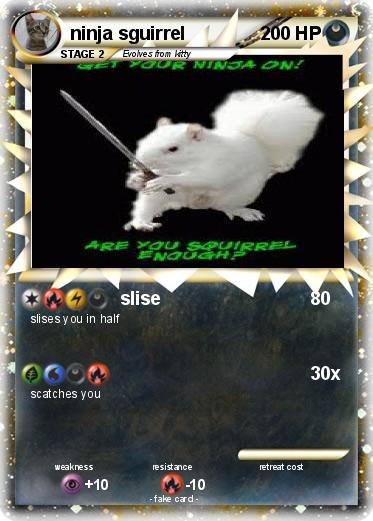 Pokemon ninja sguirrel