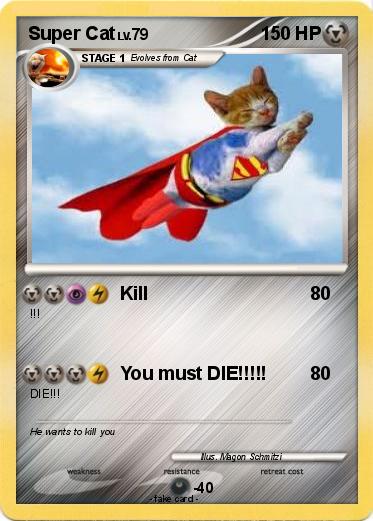 Pokemon Super Cat