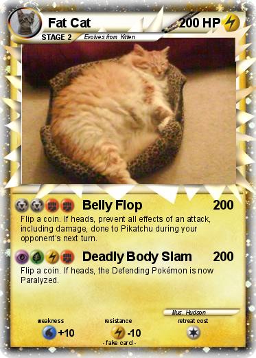 Pokemon Fat Cat
