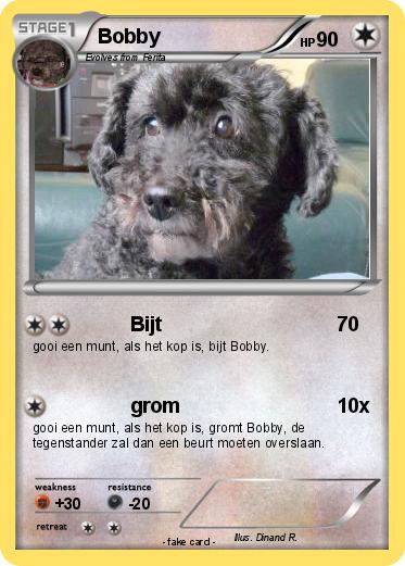 Pokemon Bobby