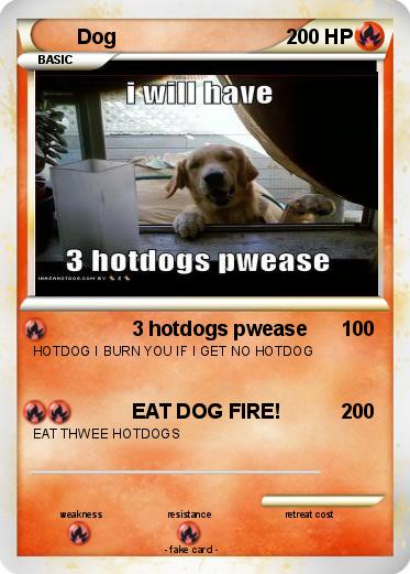Pokemon Dog