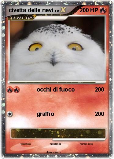 Pokemon civetta delle nevi