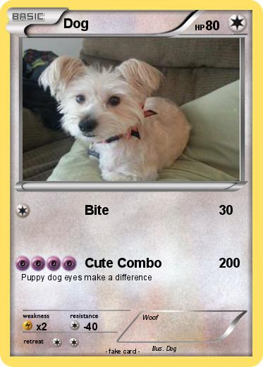 Pokemon Dog
