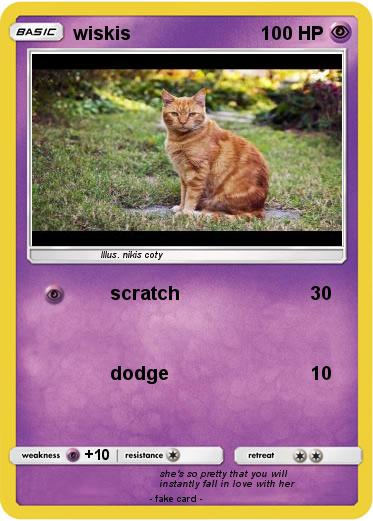 Pokemon wiskis