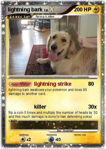 Pokemon lightning bark