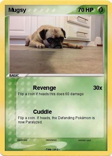 Pokemon Mugsy