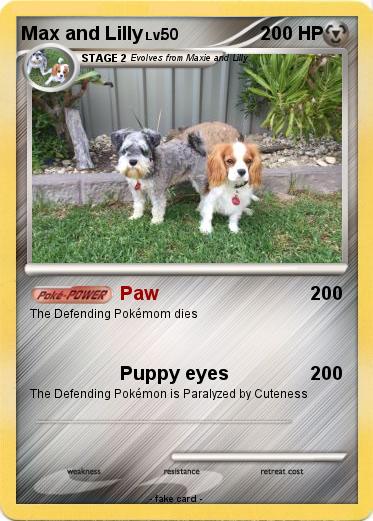 Pokemon Max and Lilly