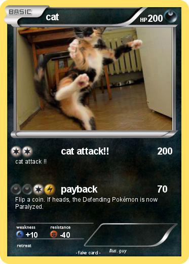 Pokemon cat