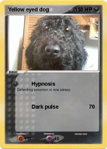 Pokemon Yellow eyed dog