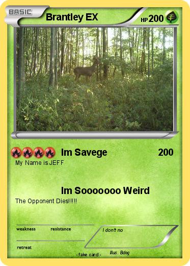 Pokemon Brantley EX