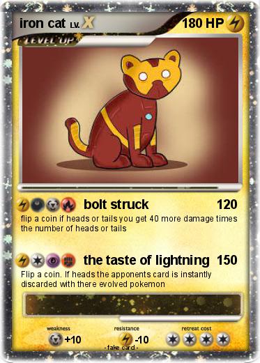 Pokemon iron cat