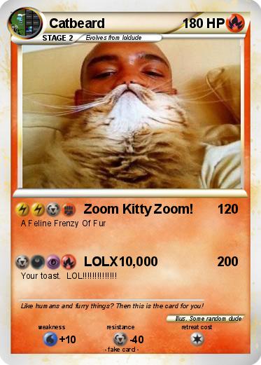 Pokemon Catbeard
