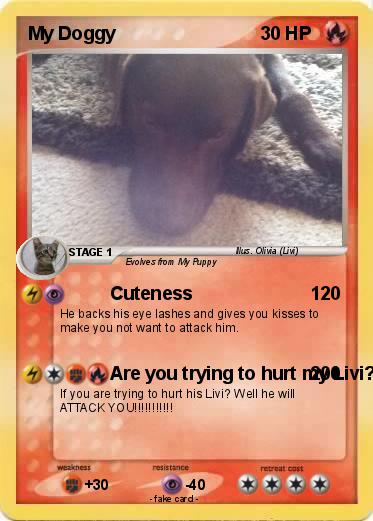 Pokemon My Doggy