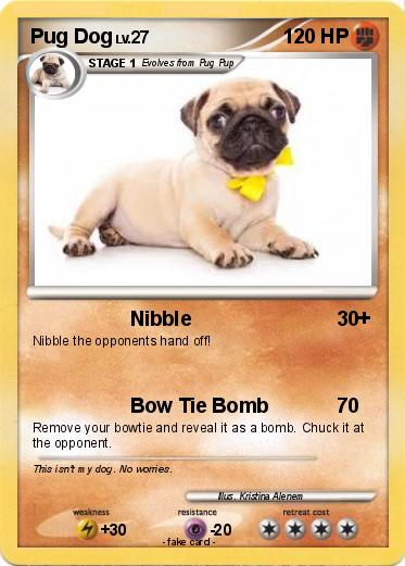 Pokemon Pug Dog