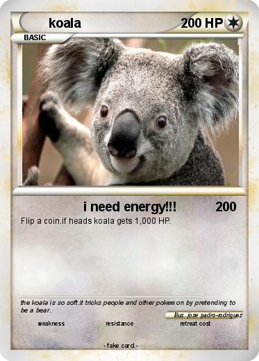 Pokemon koala