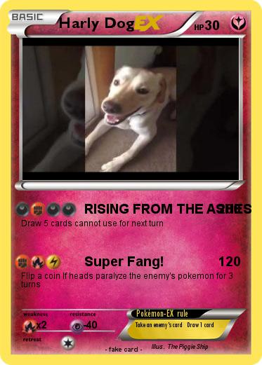 Pokemon Harly Dog