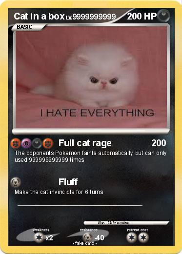 Pokemon Cat in a box