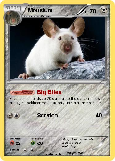 Pokemon Mouslum