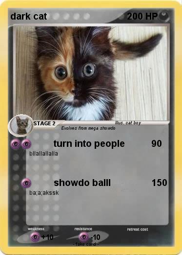 Pokemon dark cat