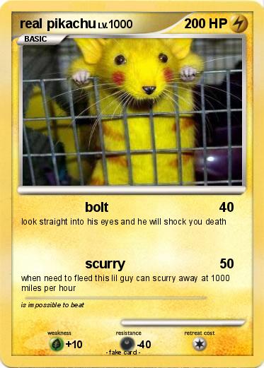 Pokemon real pikachu