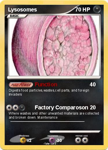 Pokemon Lysosomes