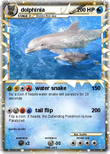 Pokemon dolphinia