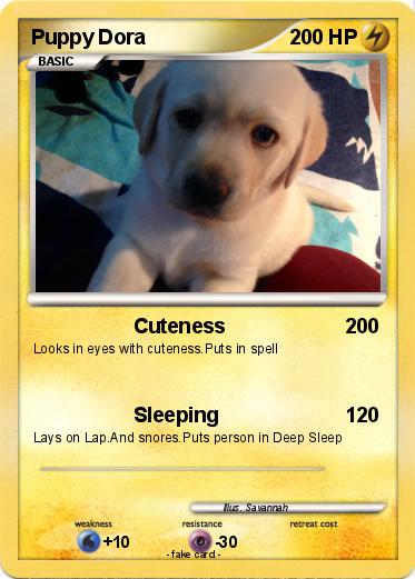 Pokemon Puppy Dora