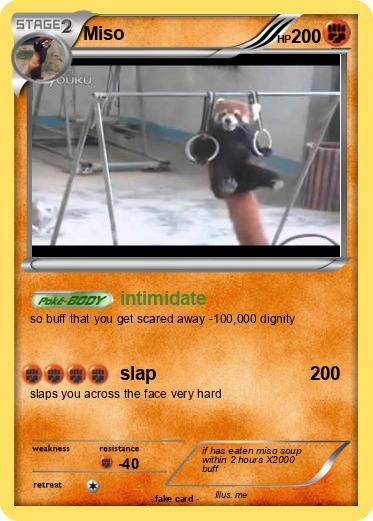Pokemon Miso