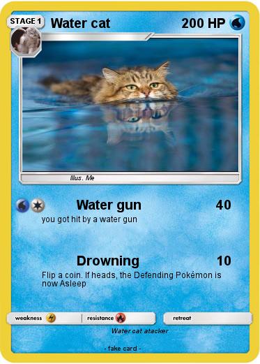 Pokemon Water cat