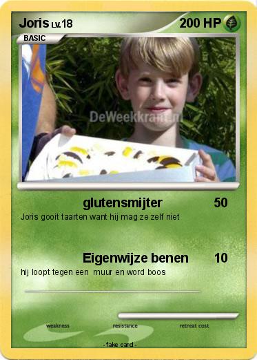 Pokemon Joris