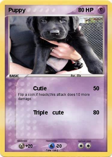 Pokemon Puppy