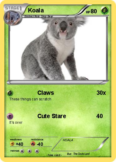 Pokemon Koala