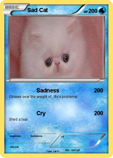 Pokemon Sad Cat