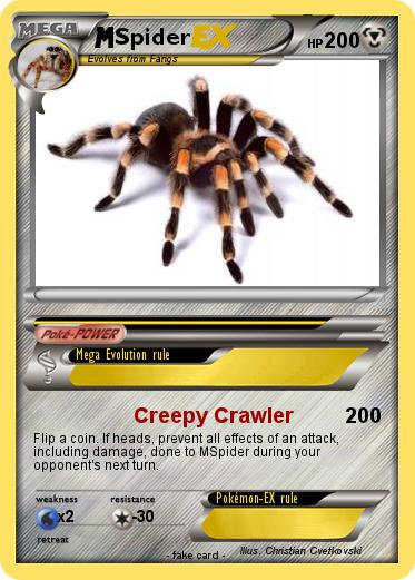 Pokemon Spider