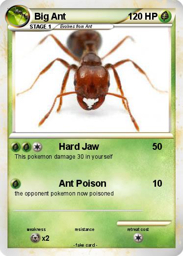 Pokemon Big Ant