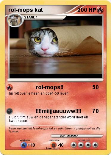 Pokemon rol-mops kat