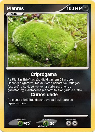 Pokemon Plantas