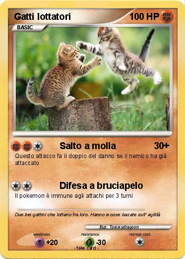 Pokemon Gatti lottatori