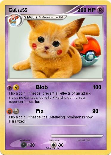 Pokemon Cat