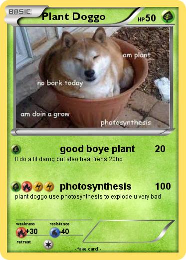 Pokemon Plant Doggo