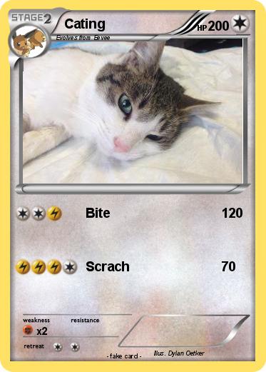 Pokemon Cating