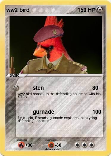 Pokemon ww2 bird