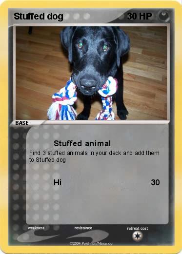 Pokemon Stuffed dog