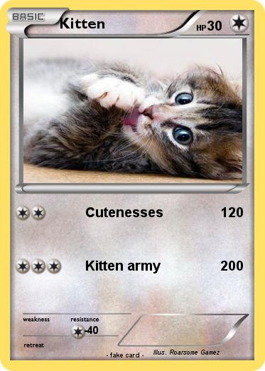 Pokemon Kitten