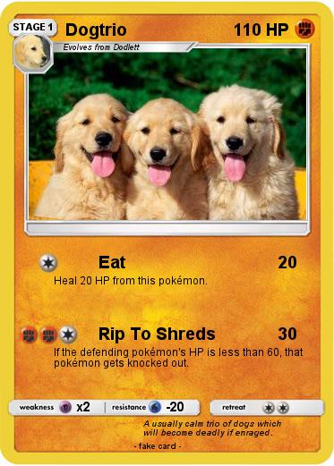 Pokemon Dogtrio