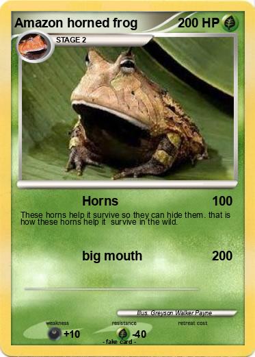 Pokemon Amazon horned frog