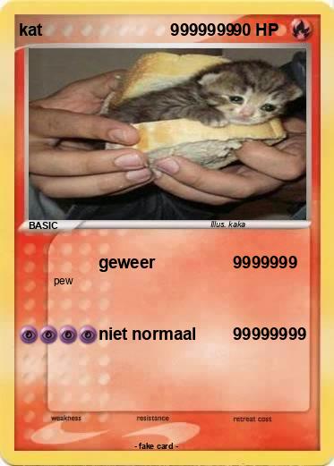 Pokemon kat                            9999999